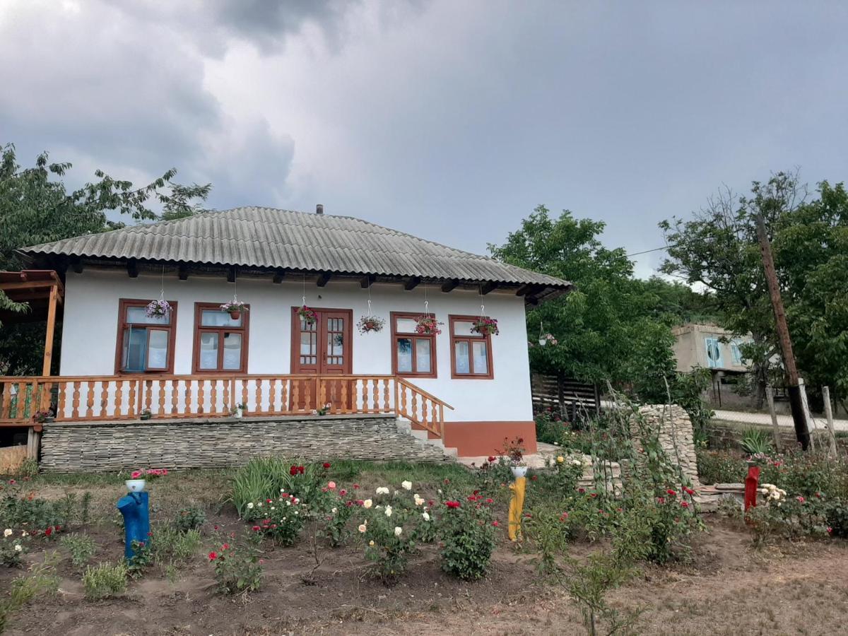 Villa Pensiunea Turistica "Casa Rustica" Chiscareni Exterior foto