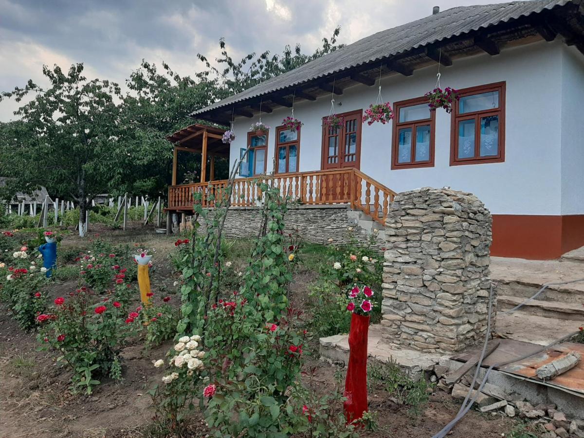 Villa Pensiunea Turistica "Casa Rustica" Chiscareni Exterior foto