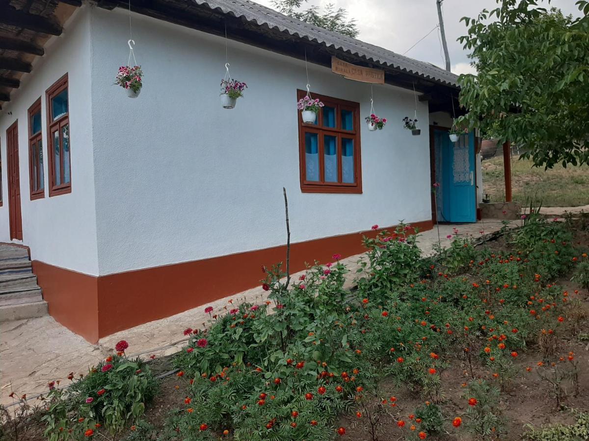 Villa Pensiunea Turistica "Casa Rustica" Chiscareni Exterior foto