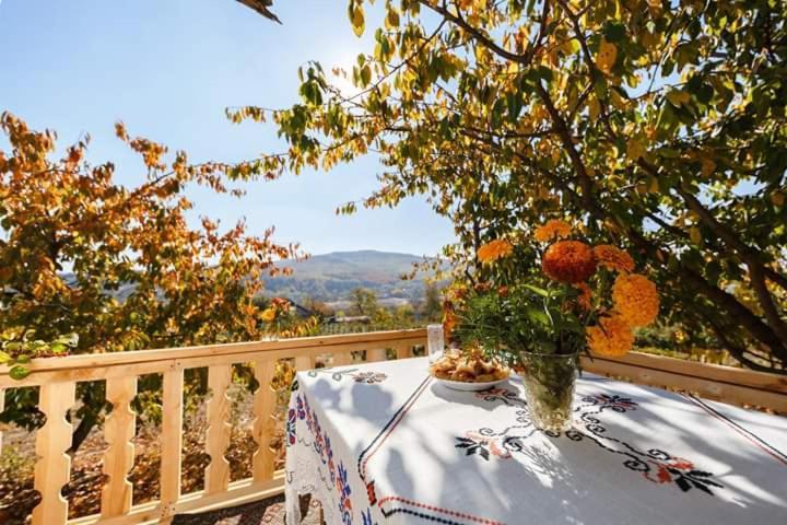Villa Pensiunea Turistica "Casa Rustica" Chiscareni Exterior foto