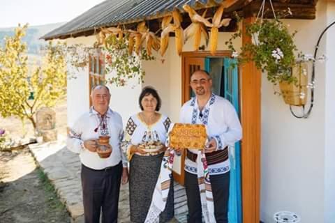 Villa Pensiunea Turistica "Casa Rustica" Chiscareni Exterior foto