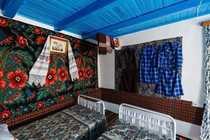 Villa Pensiunea Turistica "Casa Rustica" Chiscareni Exterior foto