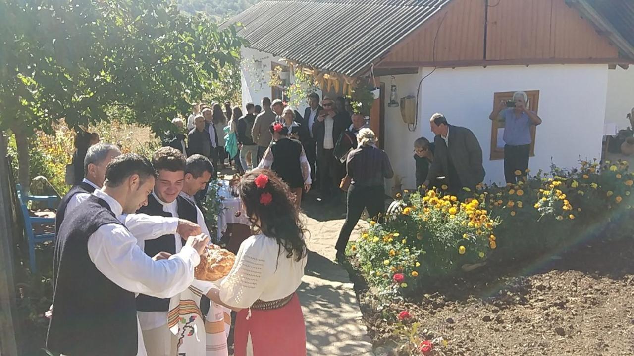 Villa Pensiunea Turistica "Casa Rustica" Chiscareni Exterior foto