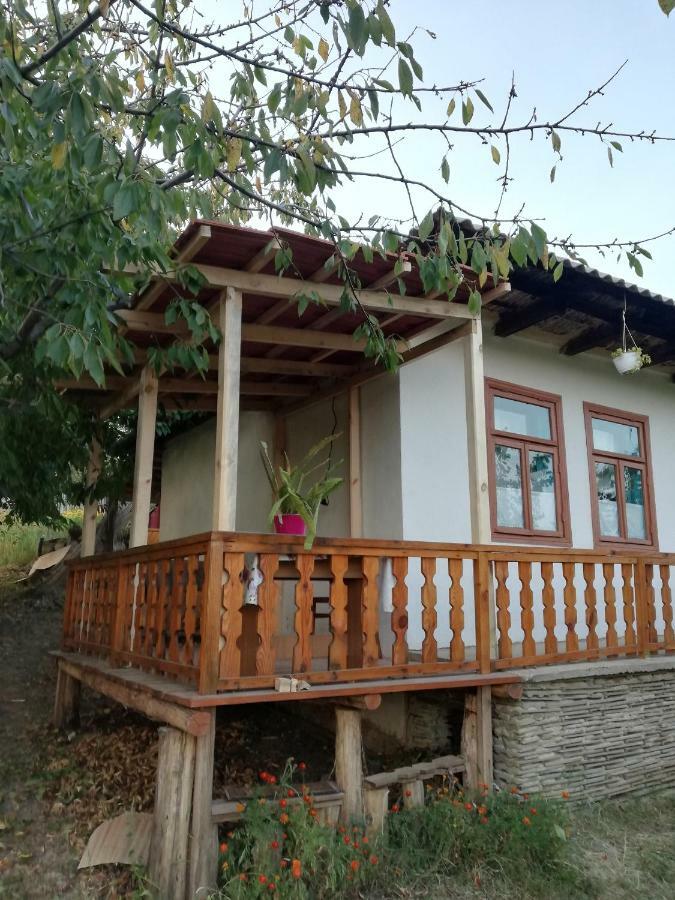 Villa Pensiunea Turistica "Casa Rustica" Chiscareni Exterior foto
