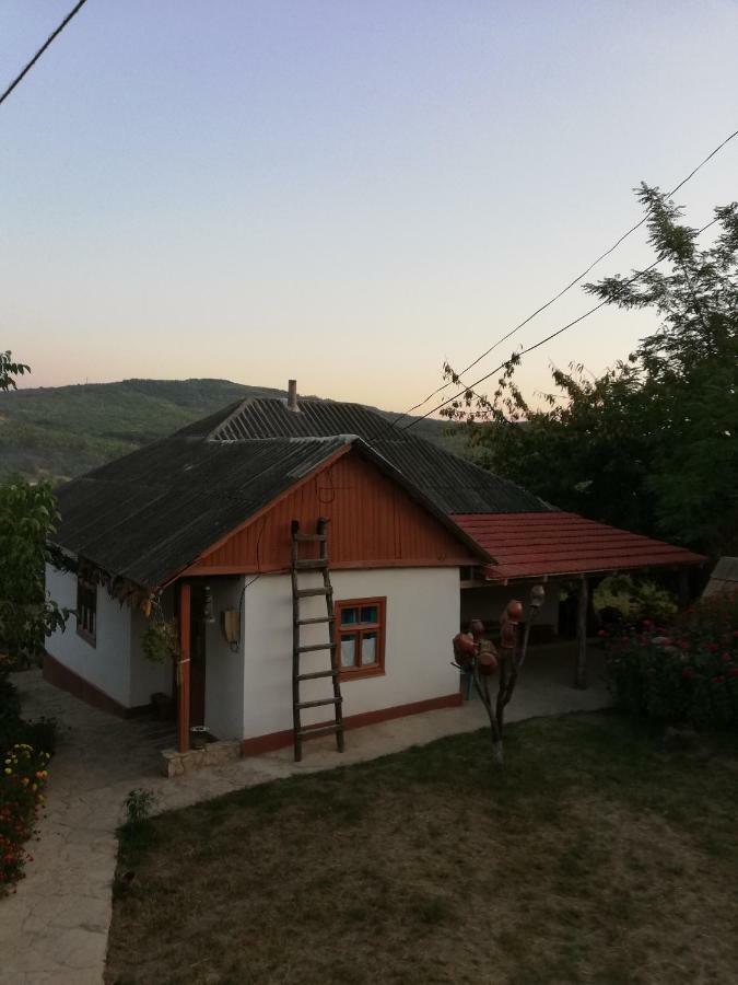 Villa Pensiunea Turistica "Casa Rustica" Chiscareni Exterior foto